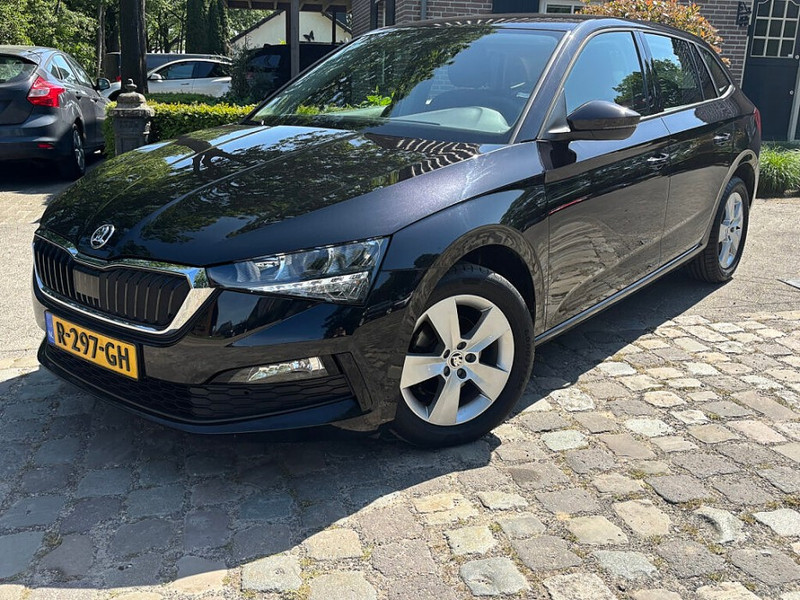250061693-100-15.jpg