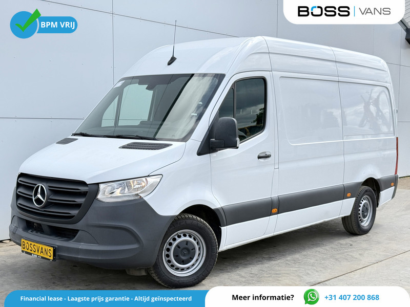 241865809-100-15.jpg