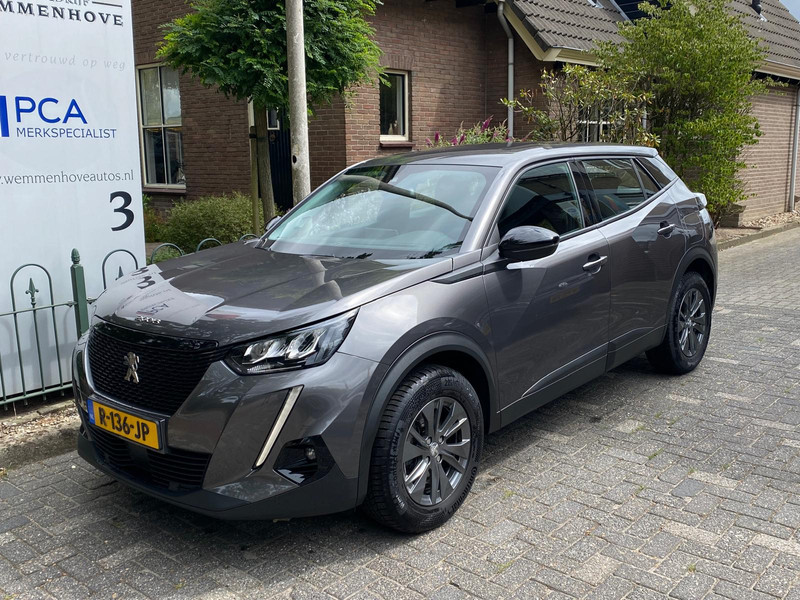 254390891-100-15.jpg