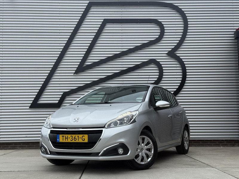 181428478-100-15.jpg
