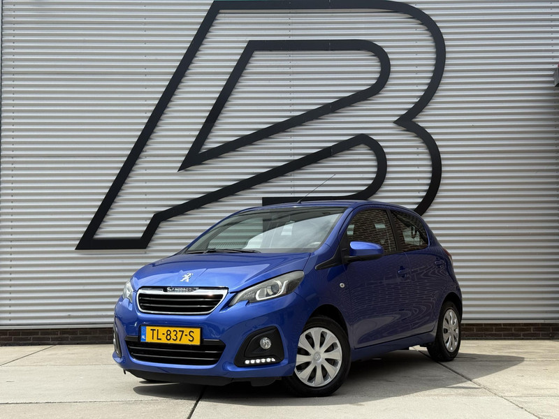 275813535-100-15.jpg